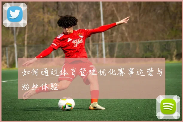 如何通过体育管理优化赛事运营与粉丝体验