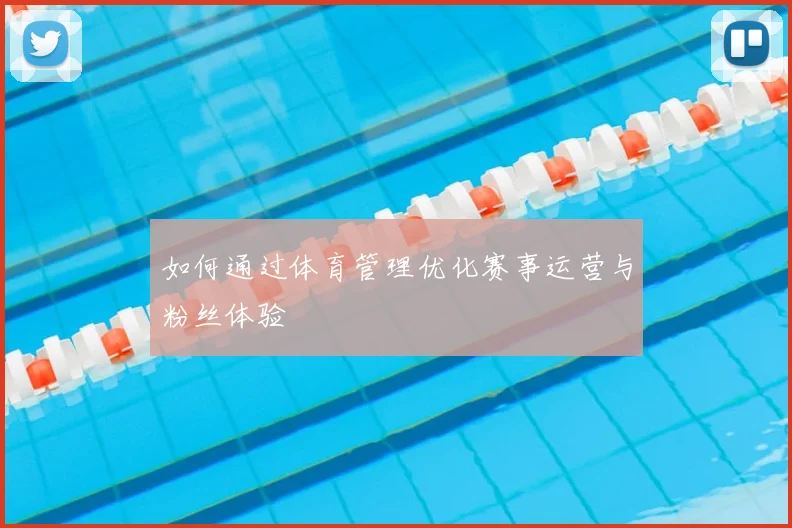 如何通过体育管理优化赛事运营与粉丝体验